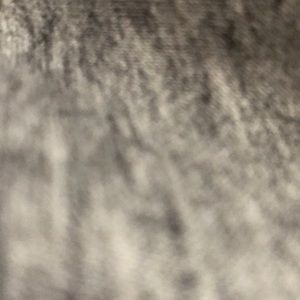 Meet your Posher, Cody